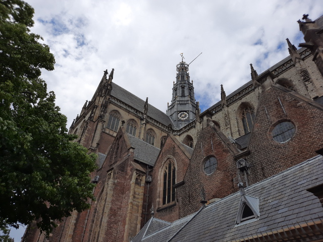 20220604_133708haarlem_z
