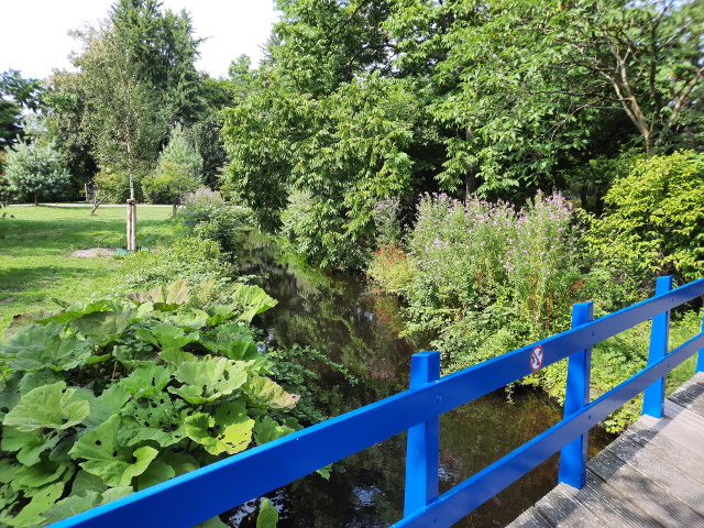 20220723_162436denhaagescamp_z