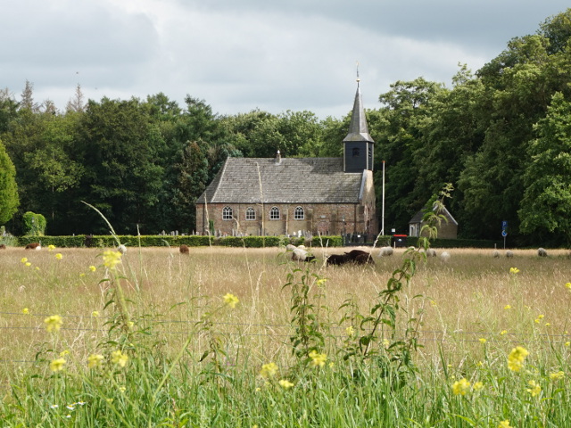 DSC00379wijnjewoudeduurswald_z