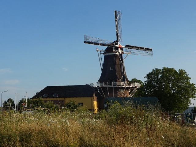DSC00594olst_z