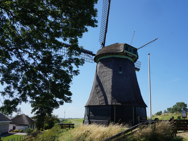 DSC00677wieringerwaard_z