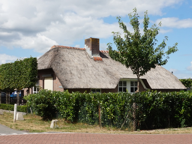 DSC00700tloo_z
