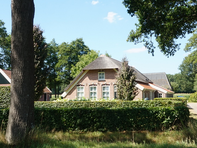 DSC02029collendoorn_z