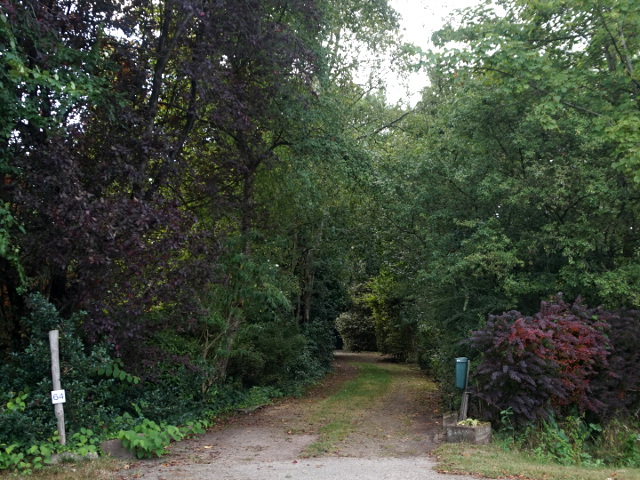 DSC02230fort_z