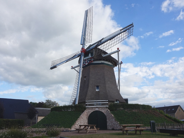 DSC02233zuidwolde_z