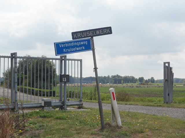 DSC02374kruiselwerk_n