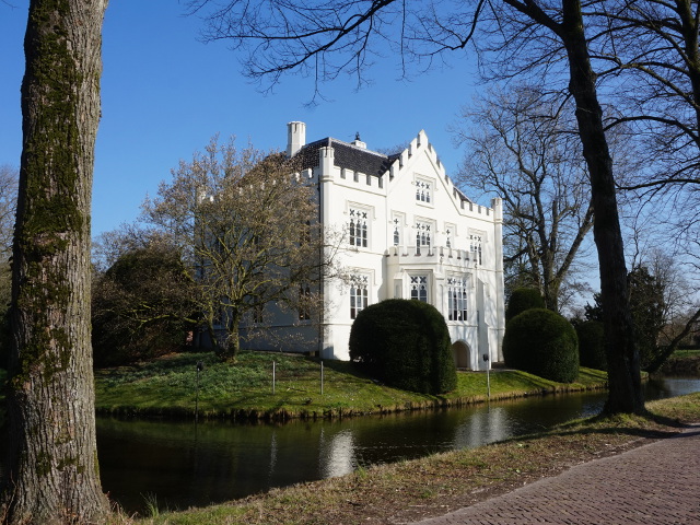DSC06602rossum_z