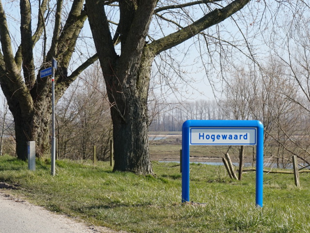 DSC06606hogewaard_w