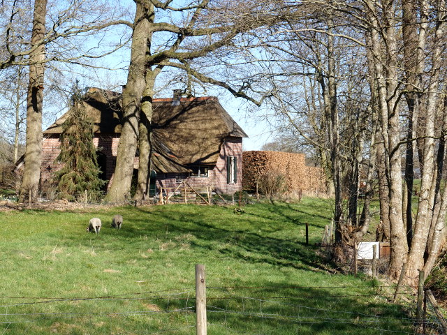 DSC06936stroe_z