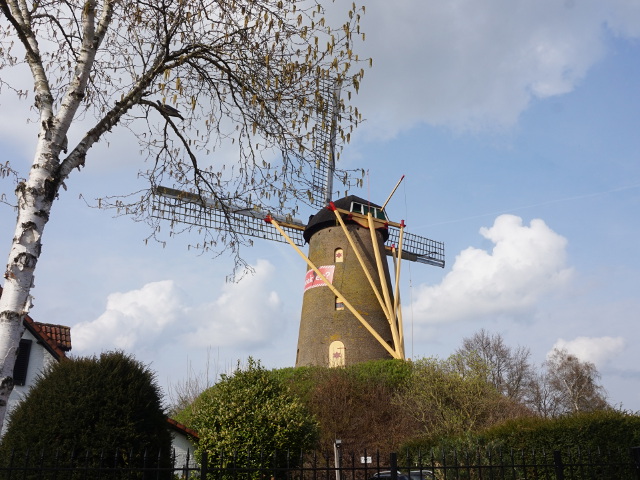 DSC07226ulvenhout_z