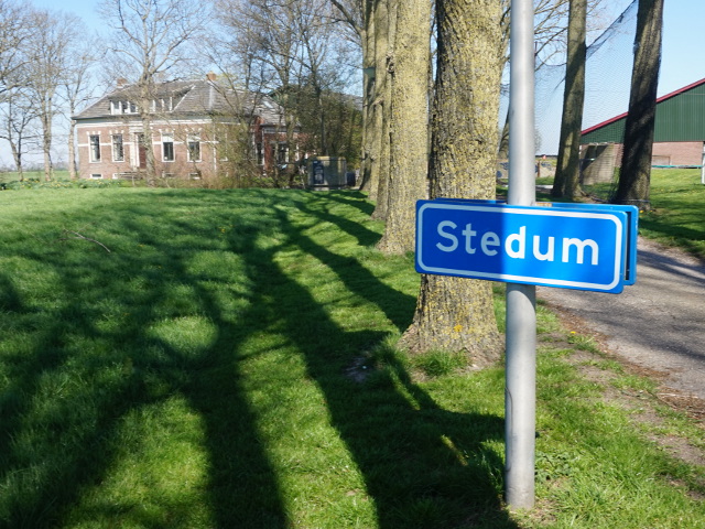 DSC08069stedum_n