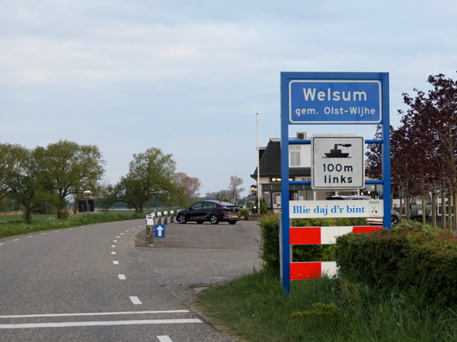 DSC08398welsum_b