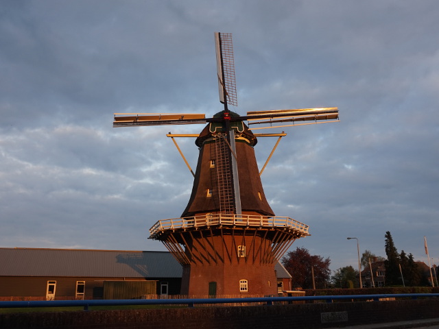 DSC08399terwolde_z