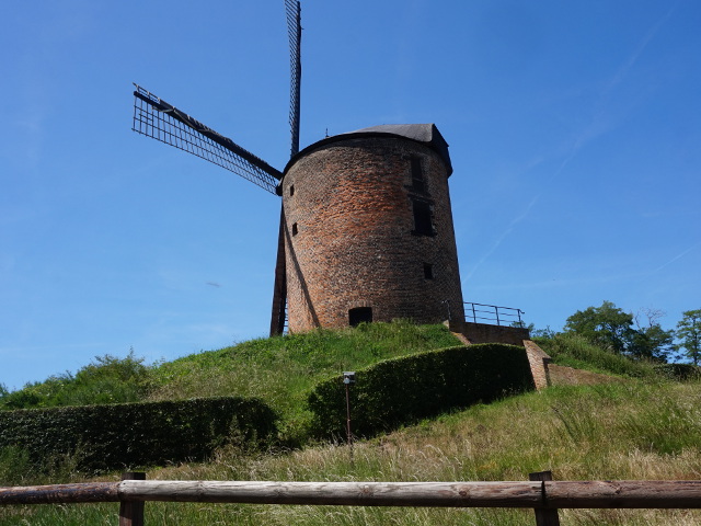 DSC09407zeddam_z