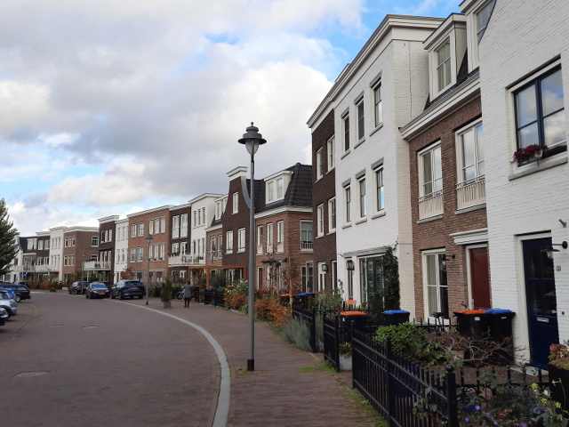 20221109_144125goudawestergouwe_z