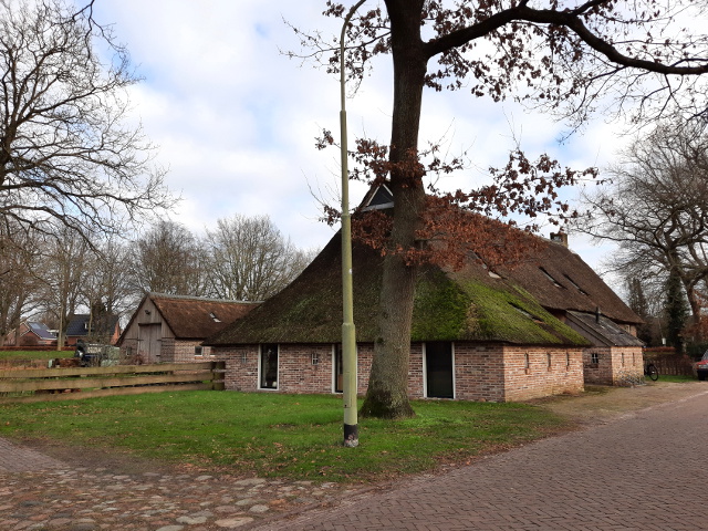 20230128_133329donderen_z