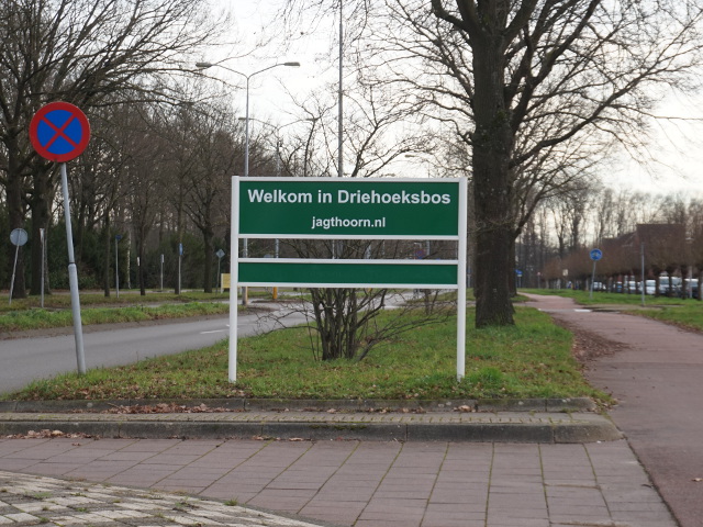 DSC05616driehoeksbos_w