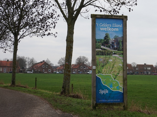 DSC06241spijk_n