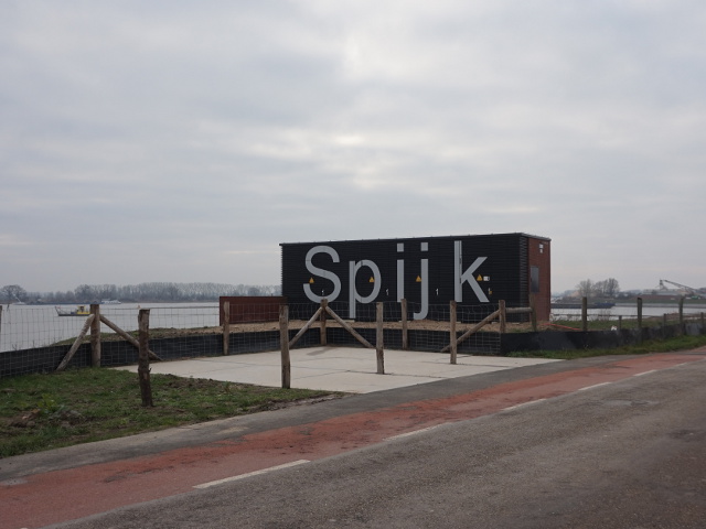 DSC06244spijk_n