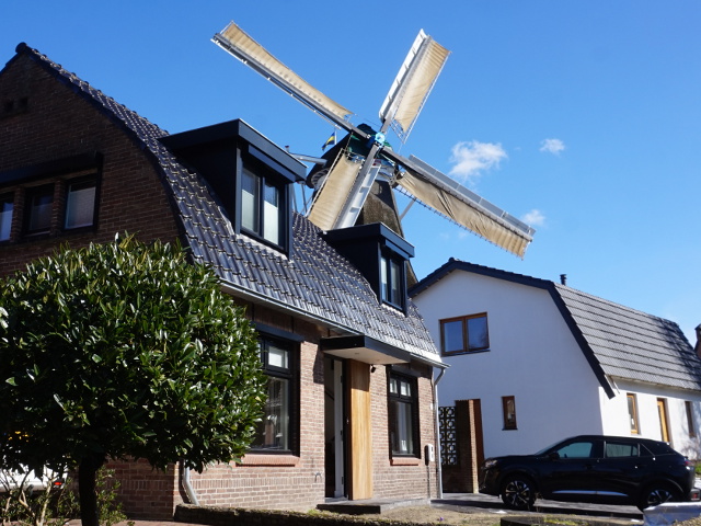 DSC08580ermelo_z