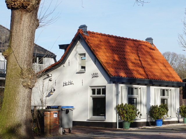 DSC08611wassenaar_z