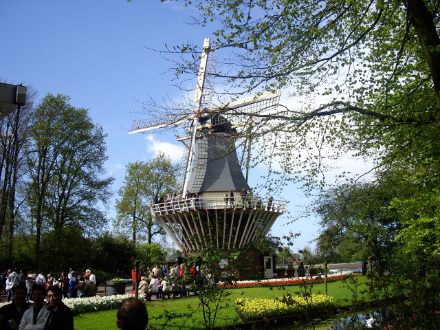 IMGP4564lisse_z
