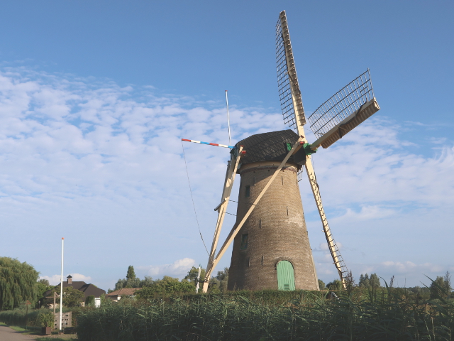 IMG_2301rijsoord_z