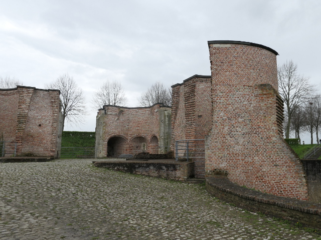 P1010031hulst_z