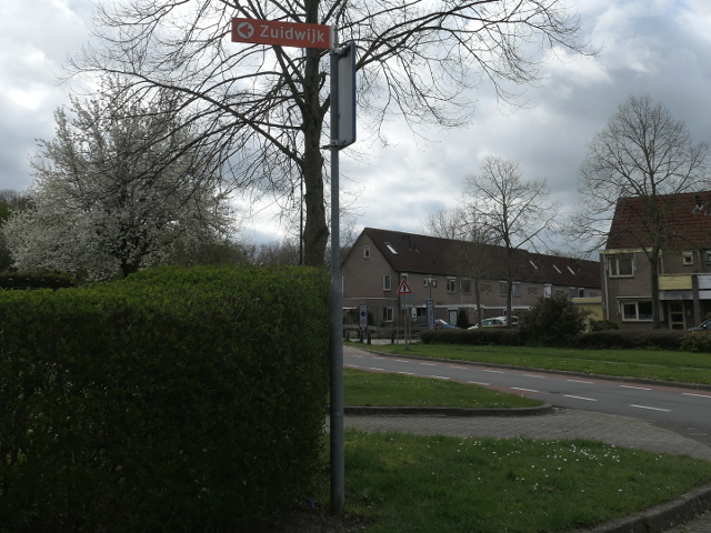 P1010319zuidwijk_n