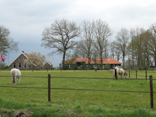 P1020038heemserveen_z