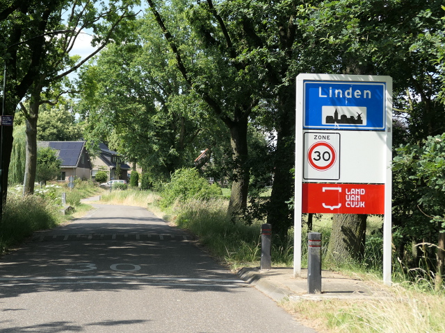 P1070035linden_bb