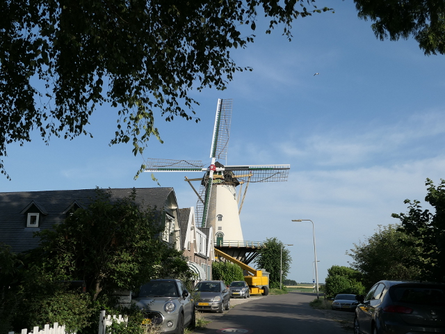 P1080302zuidland_z