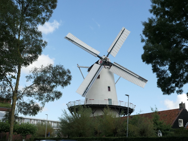 P1100857haren_z