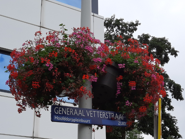 20240824_134315hoofddorppleinbuurt_s