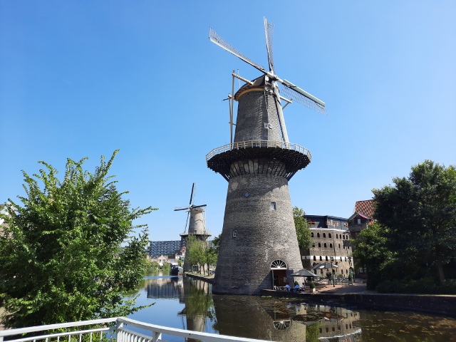 20240828_135612schiedam_z