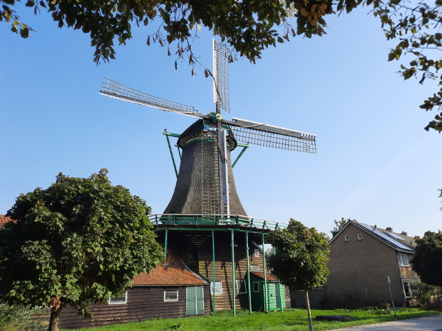 20240918_161705koogadzaan_z