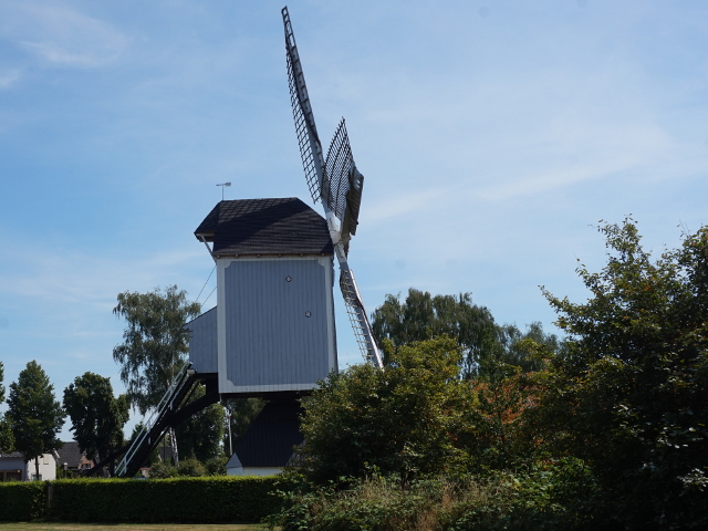 DSC01352bergeijk_z