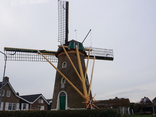 DSC02322zoutelande_z
