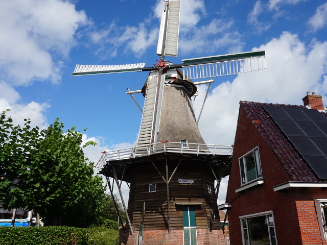 DSC02683winsum_z
