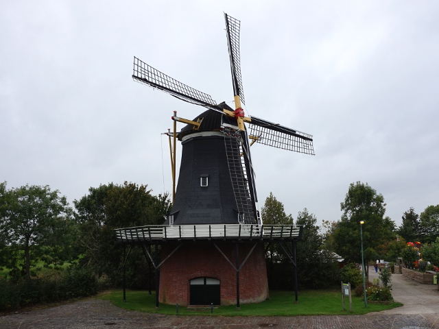 DSC05325nieuwvossemeer_z