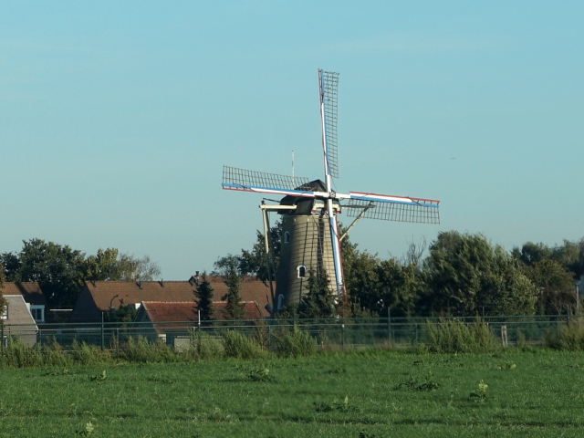 DSC05793denhout_z
