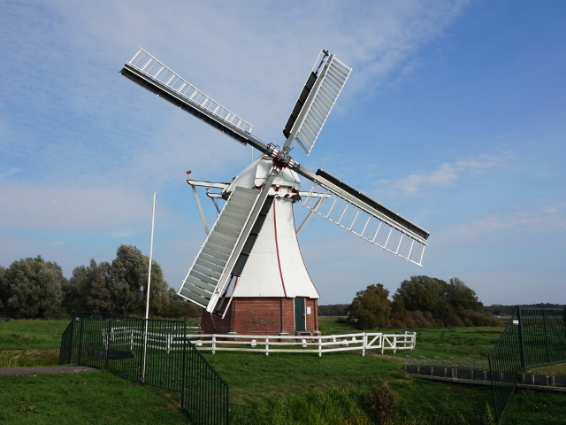 DSC06463glimmen_z