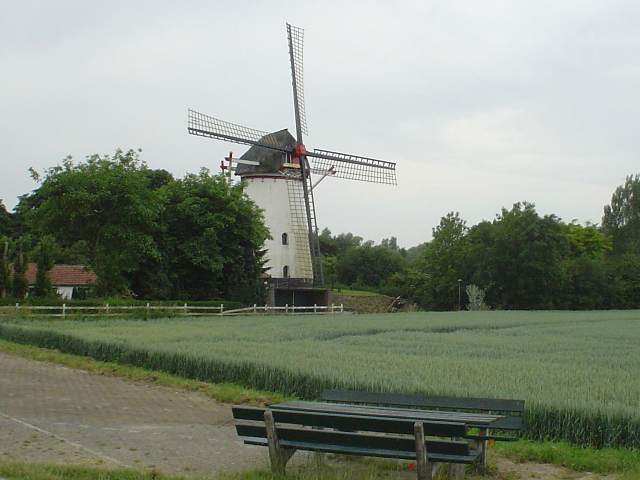 DSC07339kekerdom_z