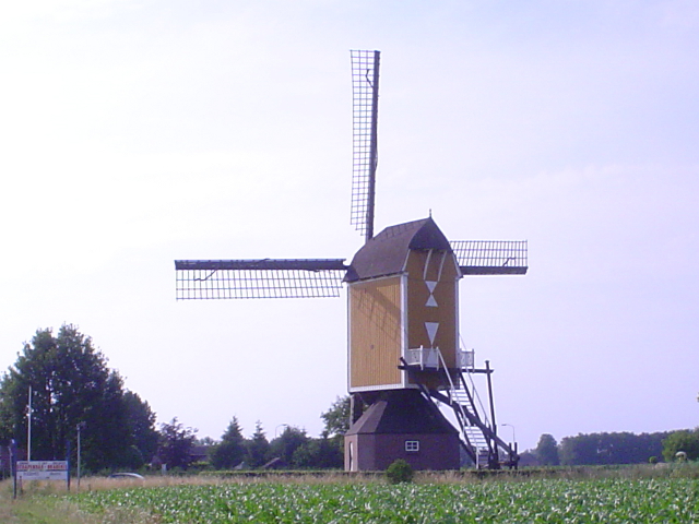 DSC07375volkel_z