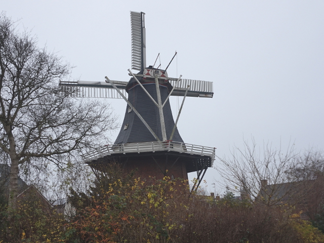 DSC08913uithuizen_z
