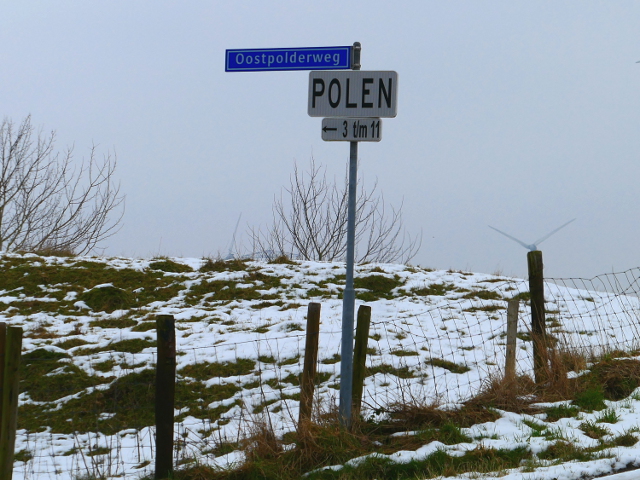 P1240161polenhogeland_w