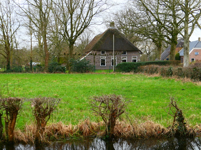 P1250368yde_z