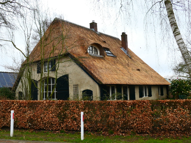 P1260196lieren_z