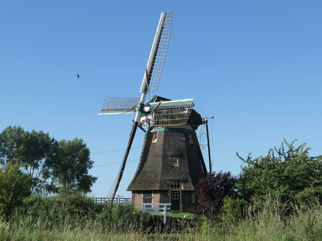 P1290010leiderdorp_z