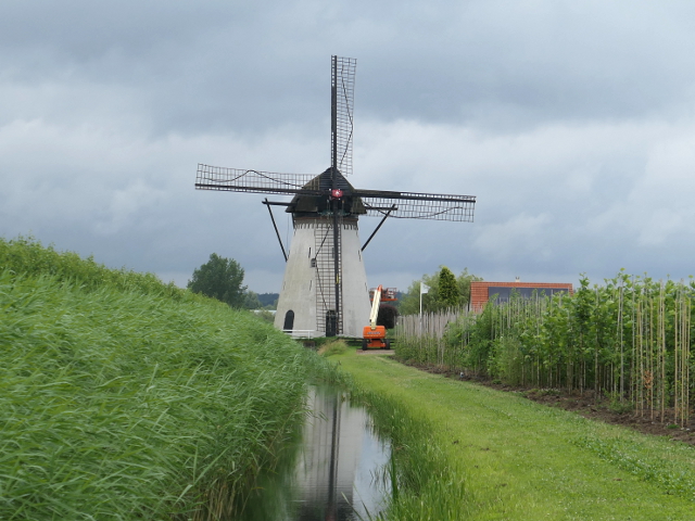 P1290405lienden_z